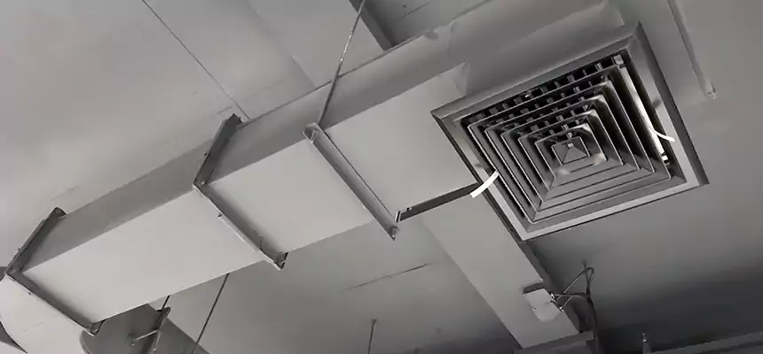 Restorative Allergy Relief Vent Cleaning – Coil, Blower & Housing Detail in University Park