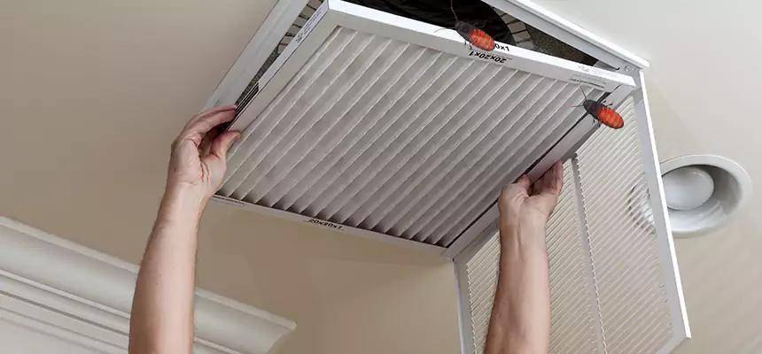 Our Insect Removal from Air Ducts Services in University Park, TX