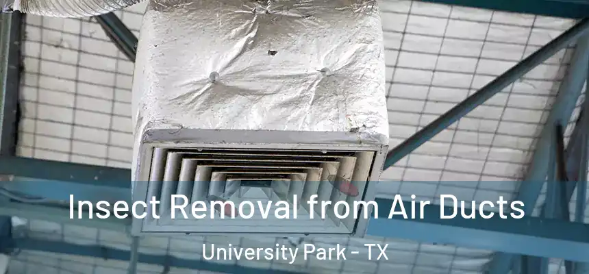  Insect Removal from Air Ducts University Park - TX