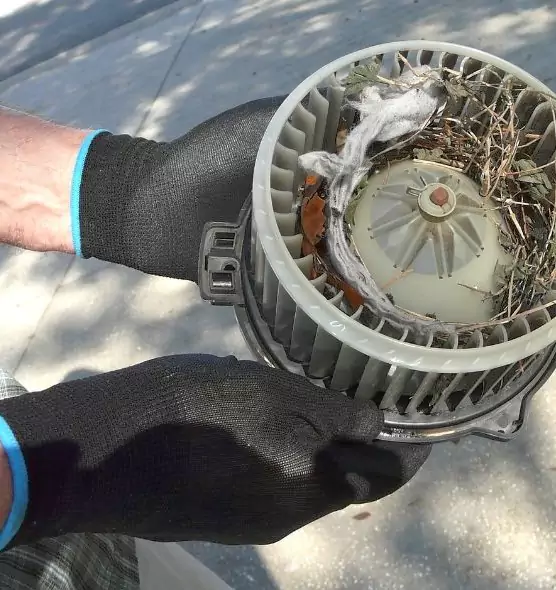 About Air Duct Rat Removal in University Park, TX