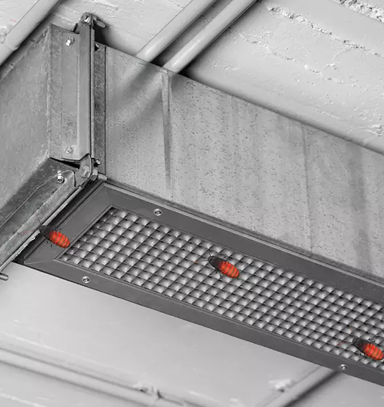 Affordable Insect Removal from Air Ducts in University Park, TX