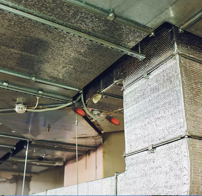 Why Homeowners & Businesses Trust Us in University Park, TX?